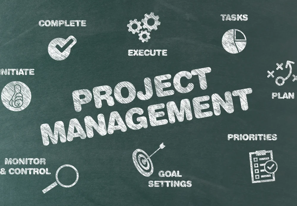 project management services